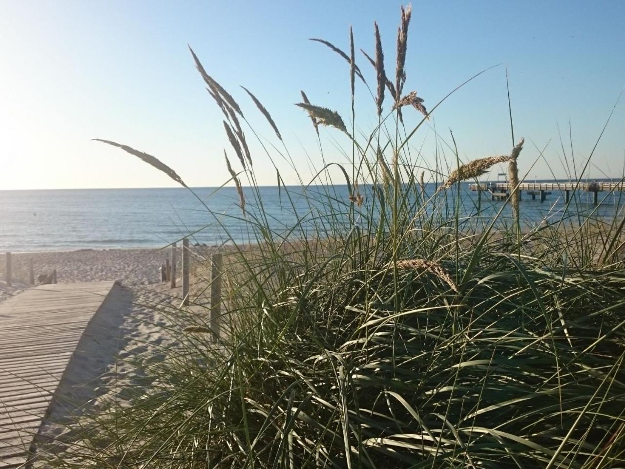 Holiday Home In Rerik Near The Baltic Sea Εξωτερικό φωτογραφία